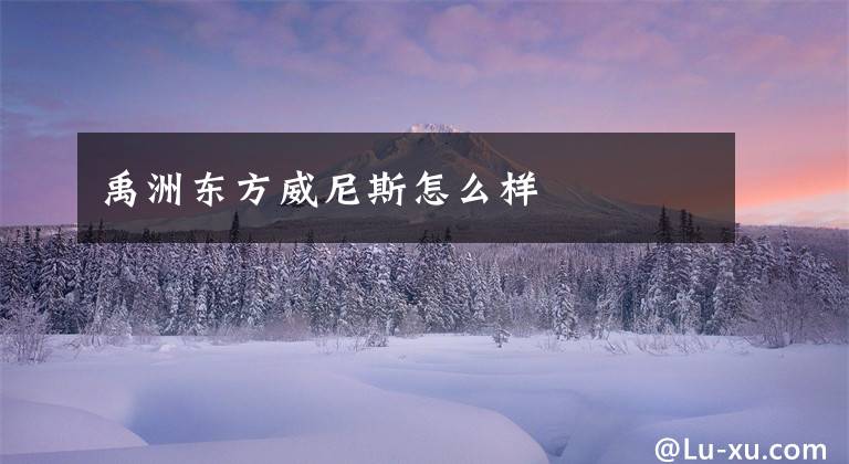 禹洲东方威尼斯怎么样