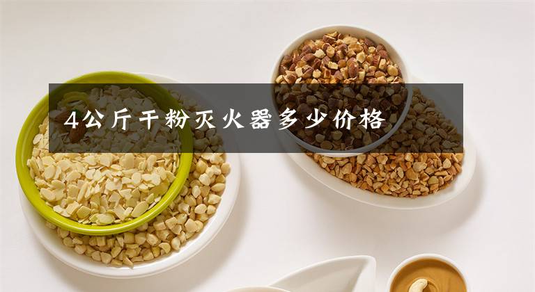 4公斤干粉灭火器多少价格
