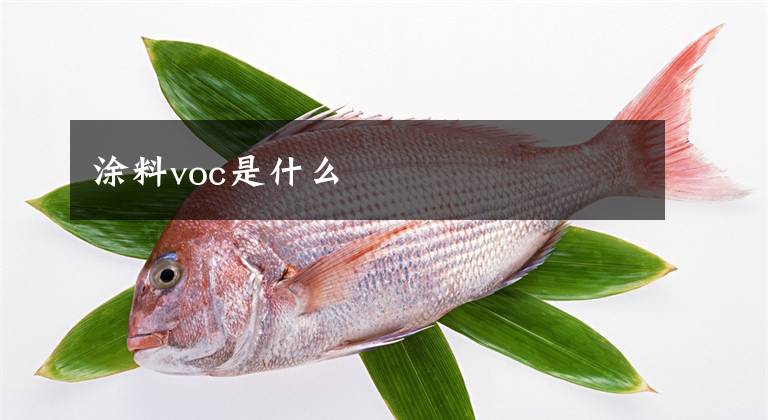 涂料voc是什么