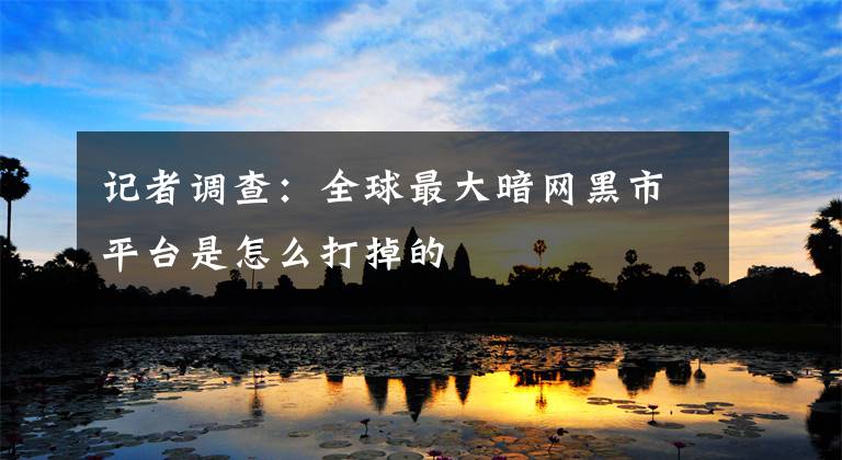 记者调查:全球最大暗网黑市平台是怎么打掉的