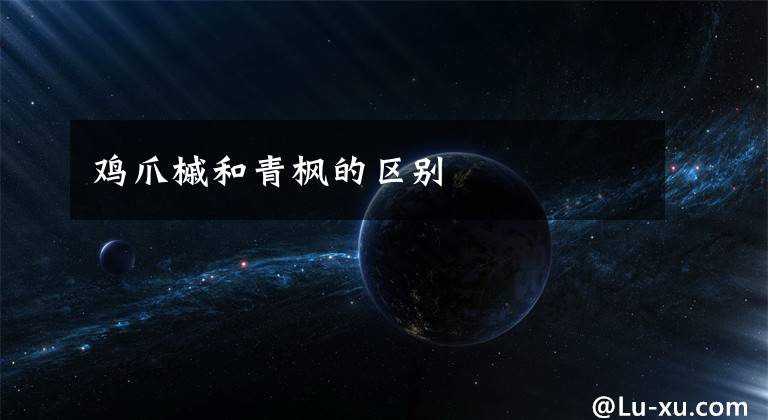 鸡爪槭和青枫的区别