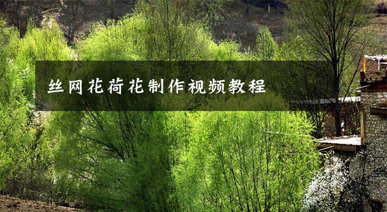 丝网花荷花制作视频教程