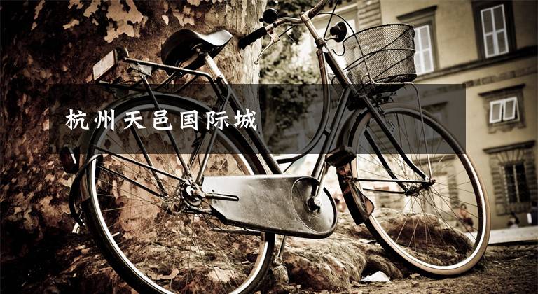 杭州天邑国际城