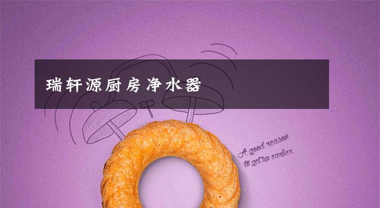 瑞轩源厨房净水器