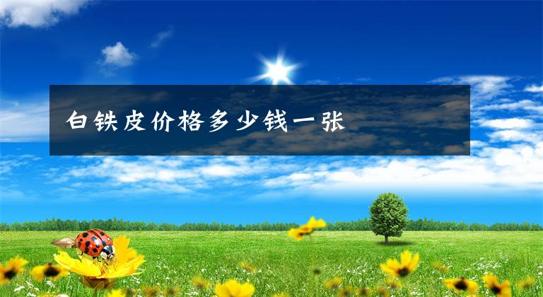 白铁皮价格多少钱一张