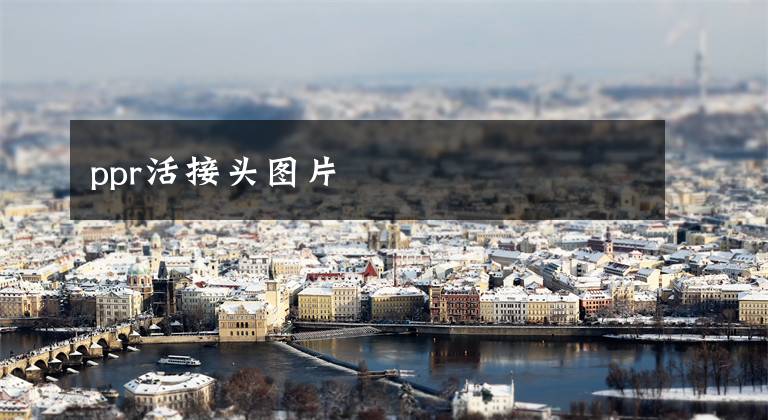 ppr活接头图片