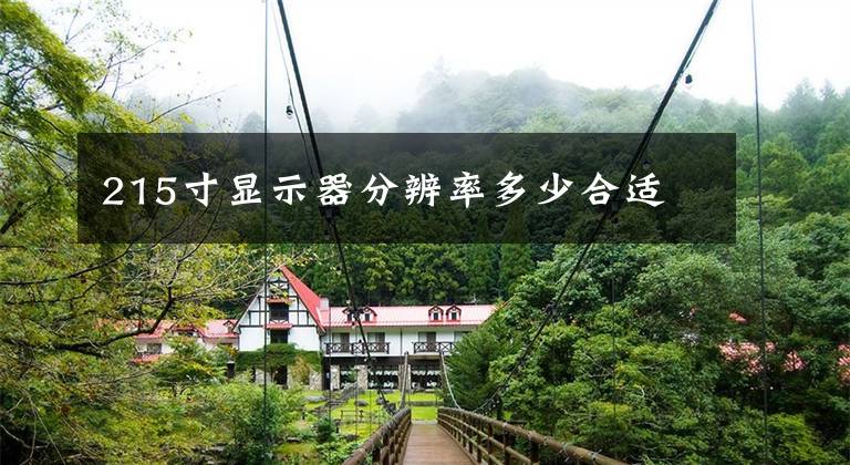 215寸显示器分辨率多少合适