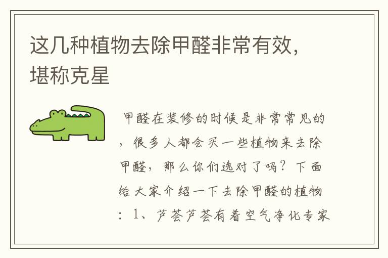 这几种植物去除甲醛非常有效，堪称克星