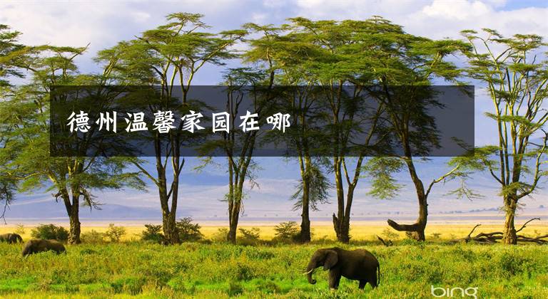 德州温馨家园在哪