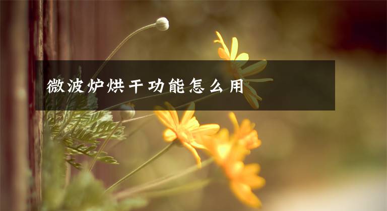微波炉烘干功能怎么用