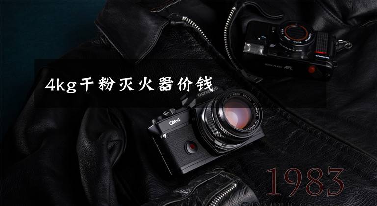 4kg干粉灭火器价钱