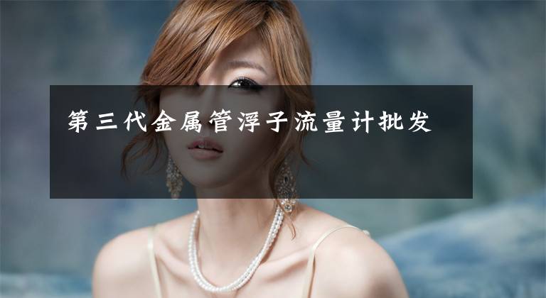 第三代金属管浮子流量计批发