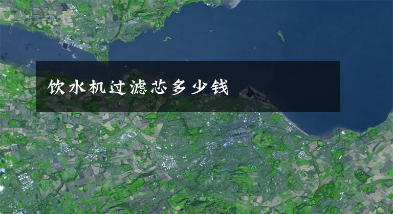 饮水机过滤芯多少钱