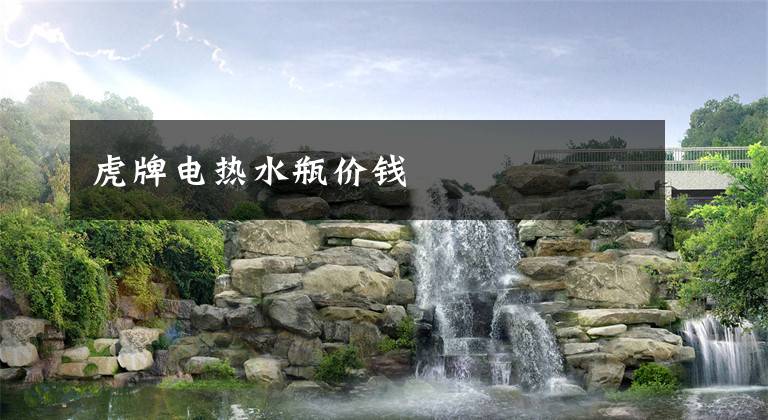 虎牌电热水瓶价钱