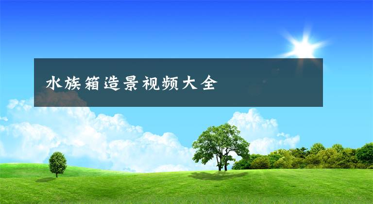 水族箱造景视频大全