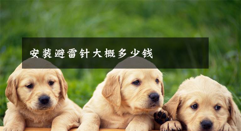 安装避雷针大概多少钱