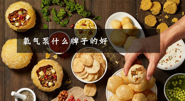 氧气泵什么牌子的好