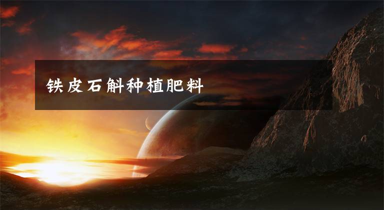铁皮石斛种植肥料