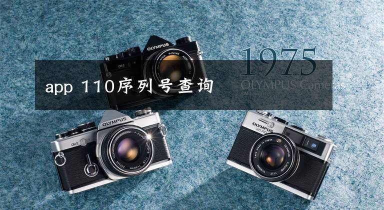 app 110序列号查询