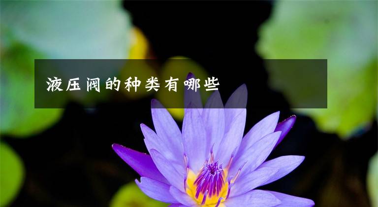 液压阀的种类有哪些