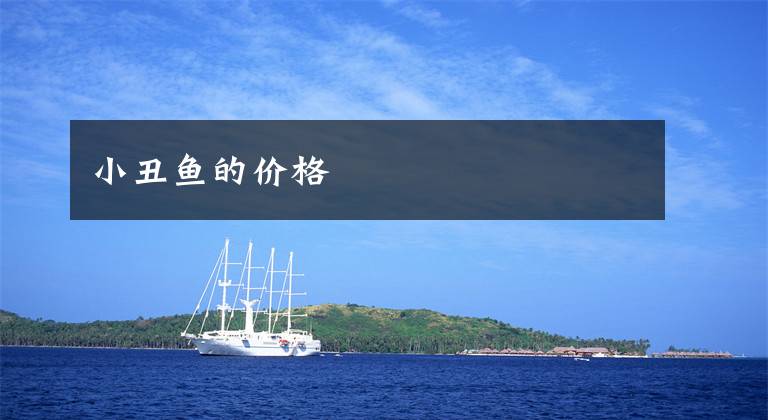小丑鱼的价格