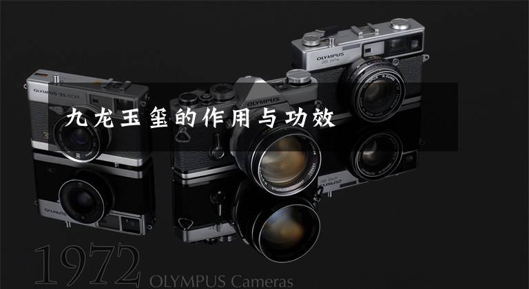 九龙玉玺的作用与功效