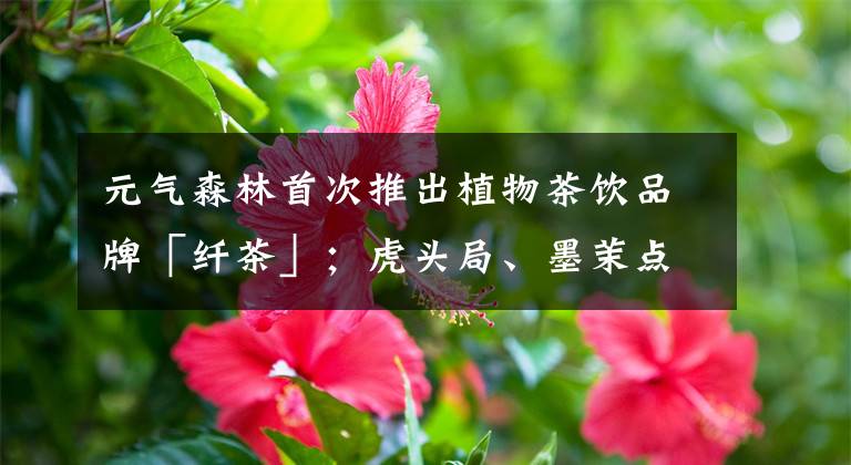 元气森林首次推出植物茶饮品牌「纤茶」;虎头局、墨茉点心局、蕉内开新店;HAYDON黑洞获1亿美金A+轮融资 | 消研所周报