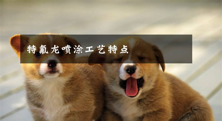 特氟龙喷涂工艺特点