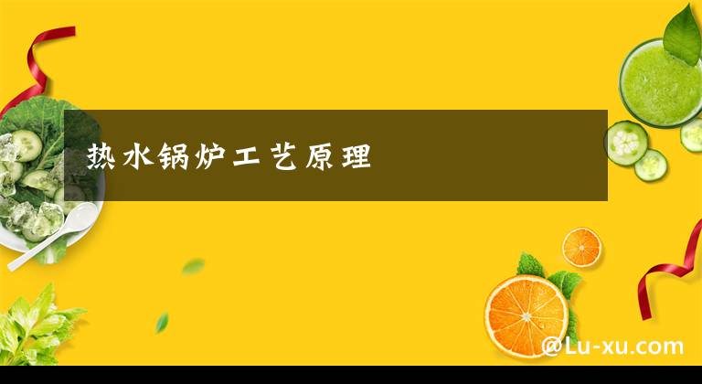 热水锅炉工艺原理