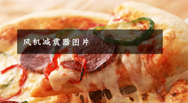 风机减震器图片