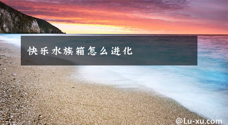 快乐水族箱怎么进化