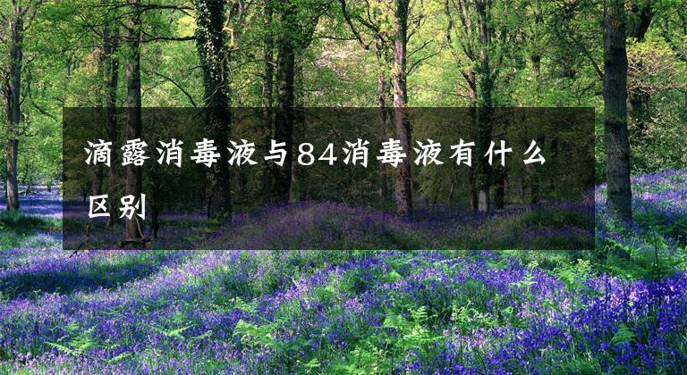 滴露消毒液与84消毒液有什么区别