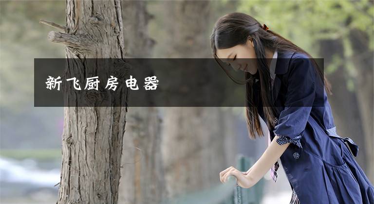 新飞厨房电器