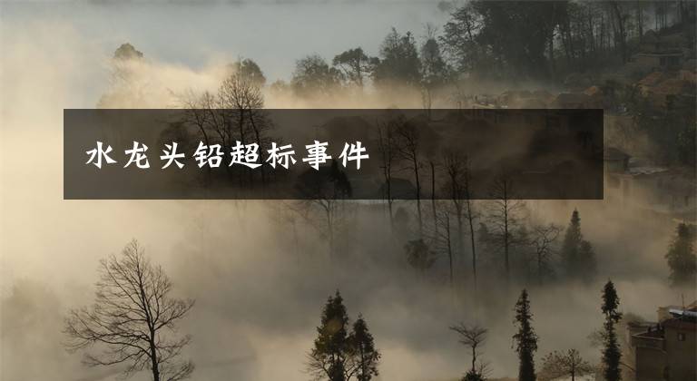 水龙头铅超标事件