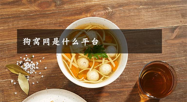 狗窝网是什么平台