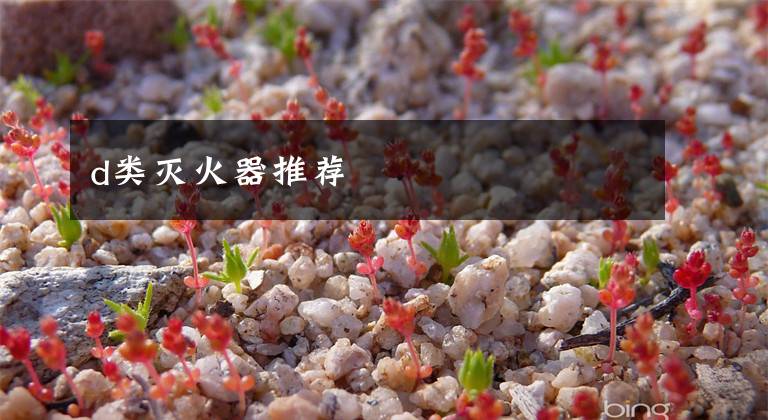 d类灭火器推荐