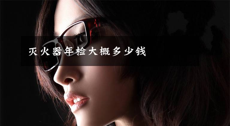 灭火器年检大概多少钱