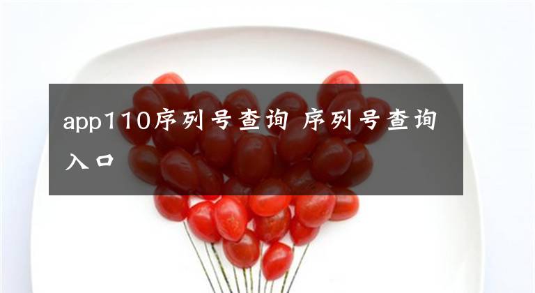 app110序列号查询 序列号查询入口