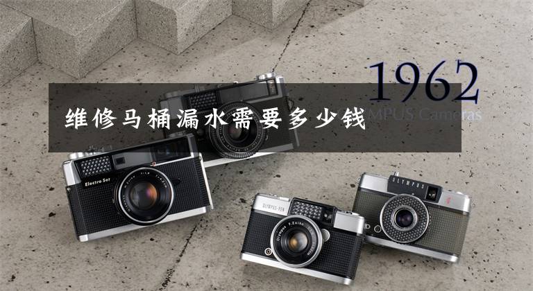 维修马桶漏水需要多少钱