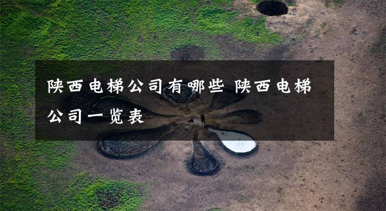 陕西电梯公司有哪些 陕西电梯公司一览表