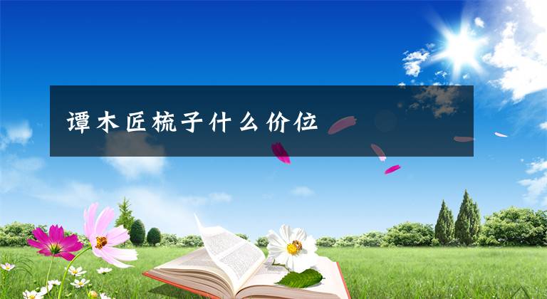 谭木匠梳子什么价位