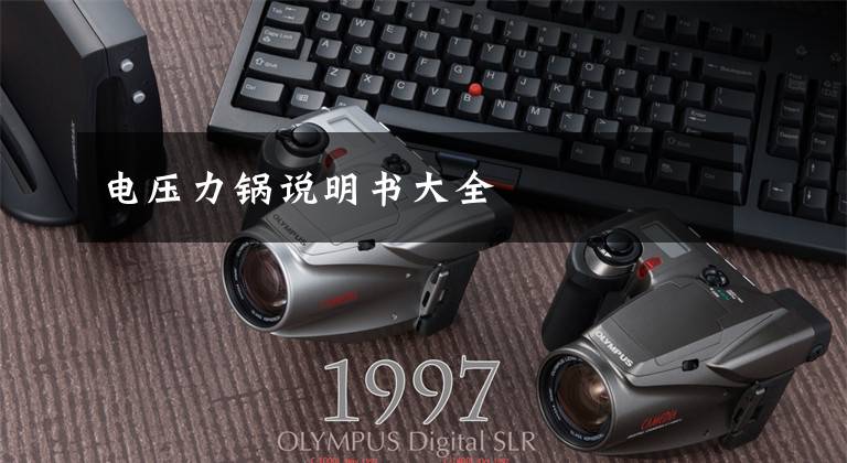 电压力锅说明书大全