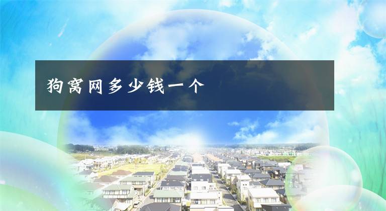 狗窝网多少钱一个