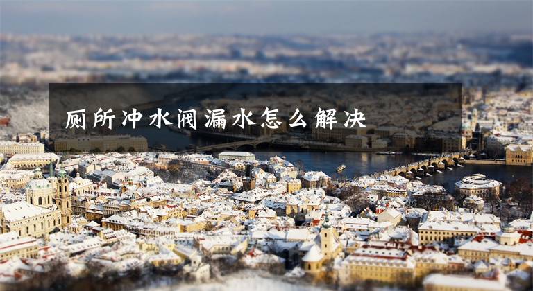 厕所冲水阀漏水怎么解决