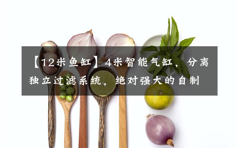 【12米鱼缸】4米智能气缸,分离独立过滤系统,绝对强大的自制鱼缸!