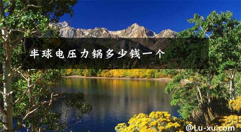 半球电压力锅多少钱一个