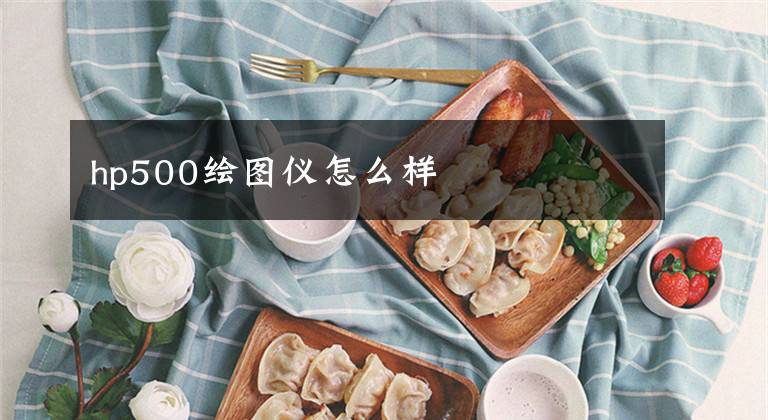 hp500绘图仪怎么样