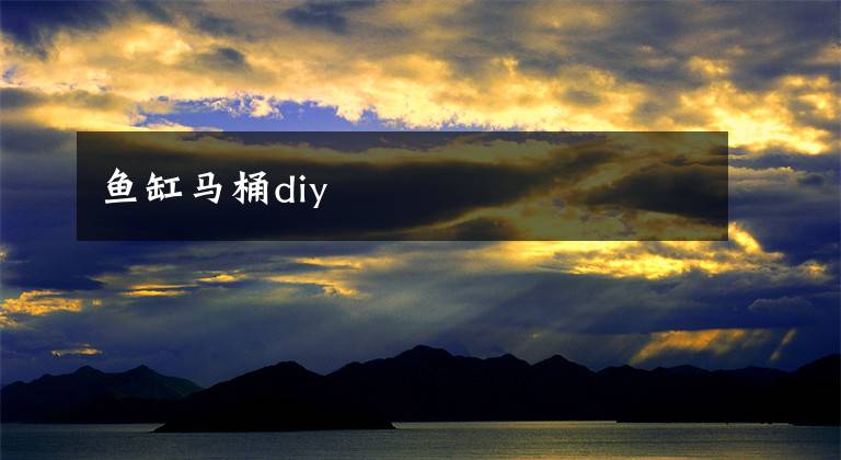 鱼缸马桶diy