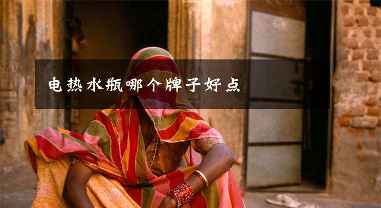 电热水瓶哪个牌子好点