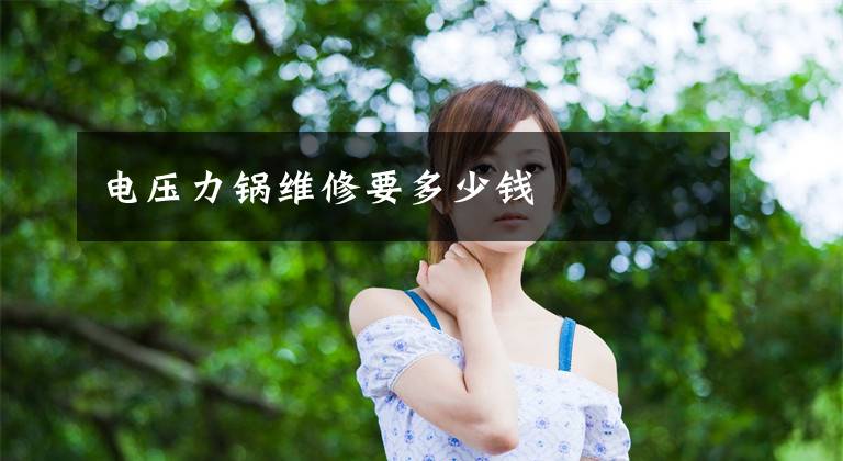 电压力锅维修要多少钱